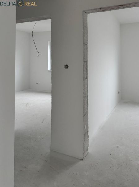31027.jpg