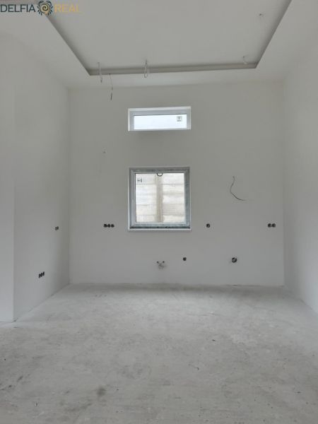 31052.jpg