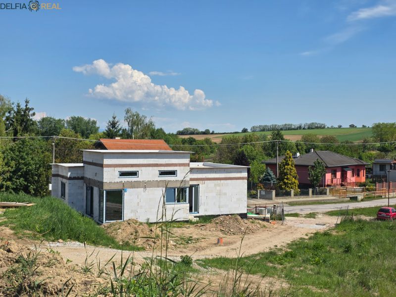 54502.jpg